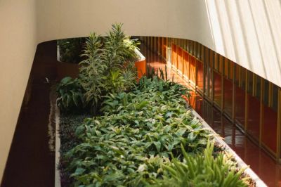 Elegancki taras z drewnianą pergolą porośniętą pnączami