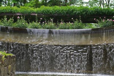 Nowoczesna fontanna ogrodowa z szumiącą wodą, otoczona bujną zielenią, wprowadzająca spokój.