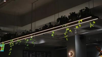 Dekoracyjne oświetlenie LED w postaci girlandy świetlnej w ogrodzie, tworzące przytulną atmosferę.